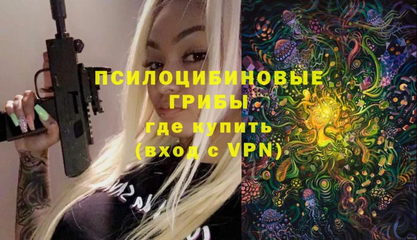 молекула духа Майский